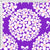 Bows And Hydrangeas - Bright Purple - Pre-Order