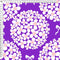 Bows And Hydrangeas - Bright Purple - Pre-Order