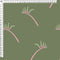 Kangaroo Paw - Pre-Order