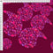 Blooms - Berry - Pre-Order