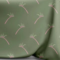 Kangaroo Paw - Pre-Order