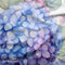 Floral Fantasy in Blue - Pre-Order