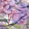 Floral Fantasy in Pink - Pre-Order