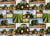 Farm Machines Quilting Cotton - Green Tractor Collage