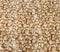 Countryscapes Quilting Cotton - Woodchips