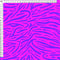 zee zee- purple - Pre-Order