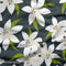 Grand Lillies in Charcoal - Pre-Order