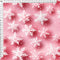 2025 Christmas Design_187 - Pre-Order