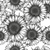 Sunflower Sketches - Pre-Order - Clover & Co Fabrics