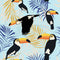 Toucan Do It - Pre-order