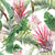 Daybreak Tropics - Pre-order