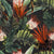 Midnight Tropics - Pre-Order