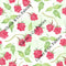 Raspberry Ready - Pre-Order - Clover & Co Fabrics